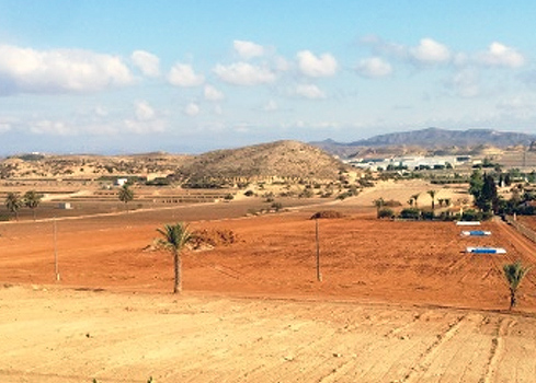 Transformación de 13 ha de suelo en la zona El Hacho en Vera, provincia de...